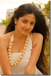 poonam_kaur_as hot model