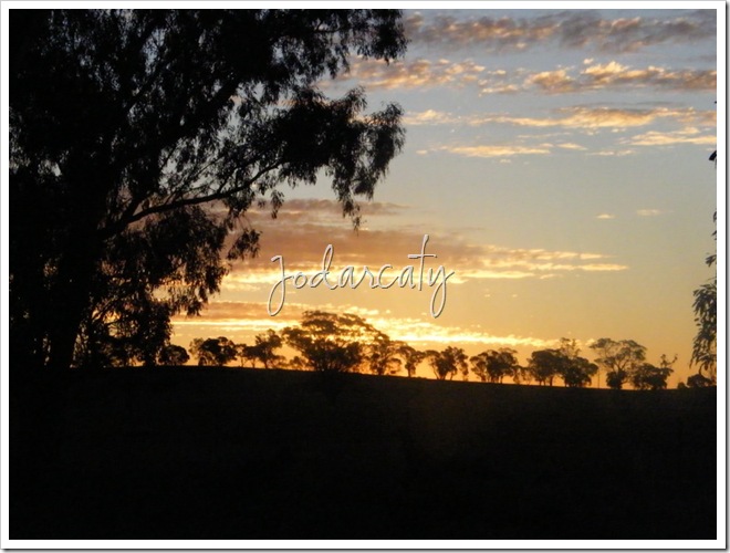 DSCF0089