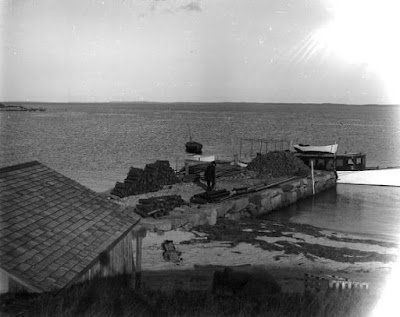 Black and white photo of Penikese Island cabins