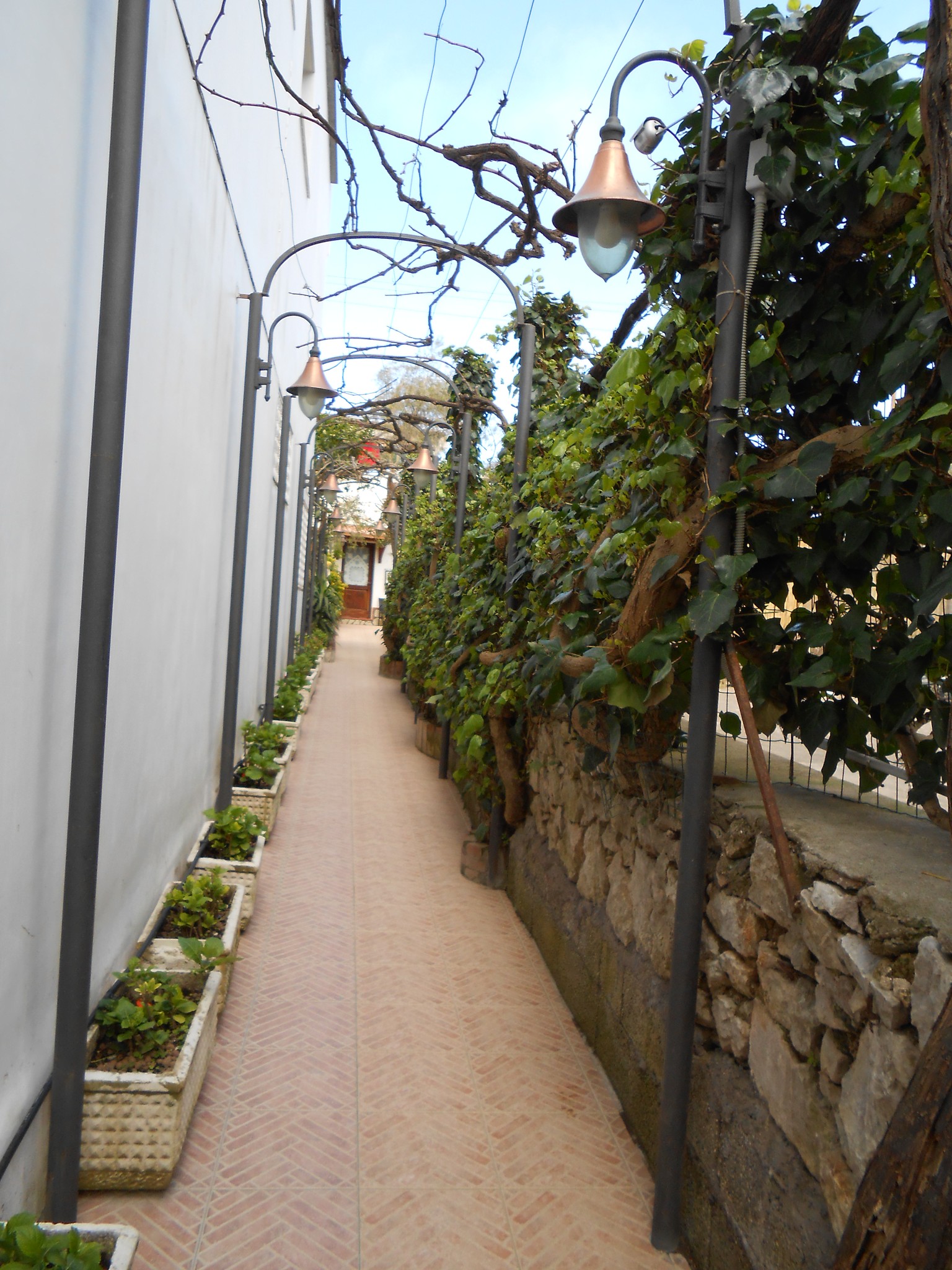 An Anacapri home's garden in spring: Il Solitario