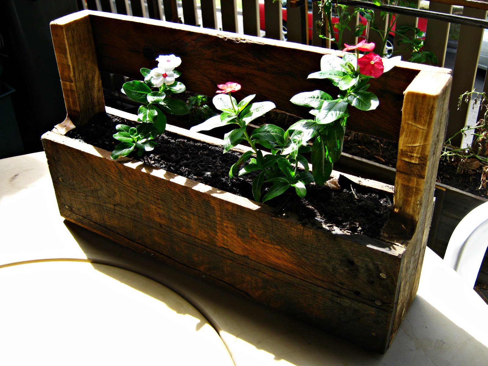 Diy Planters