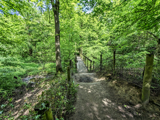 Cross the second bridge then head N uphill