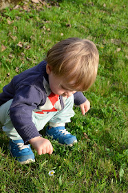 Kleines Kind hockt in der Wiese und pflückt ein Gänseblümchen.