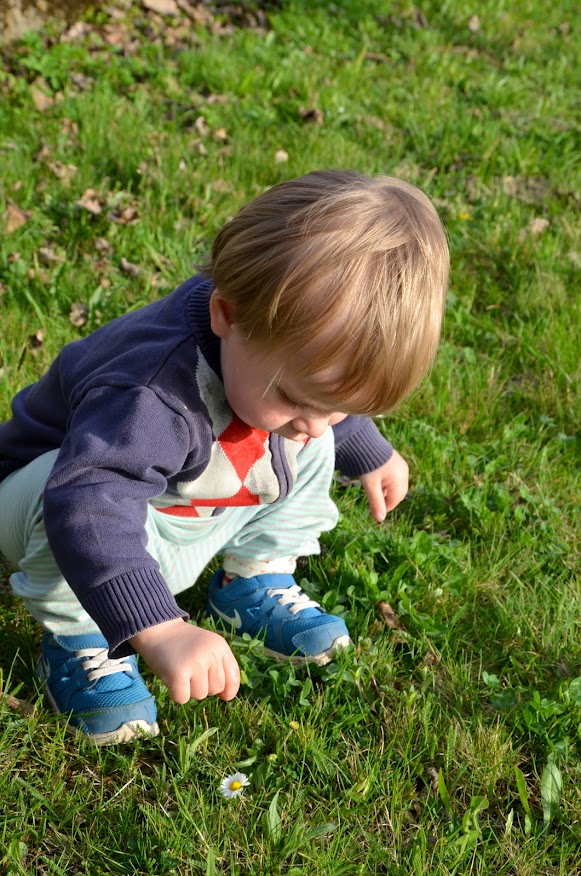 Kleines Kind hockt in der Wiese und pflückt ein Gänseblümchen.