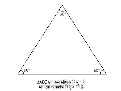 न्यूनकोण त्रिभुज