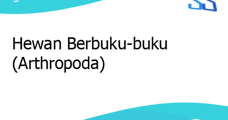  Hewan  Berbuku buku  Arthropoda  