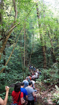 Cuevas de Andina