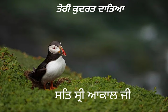 Sat Shri Akal 