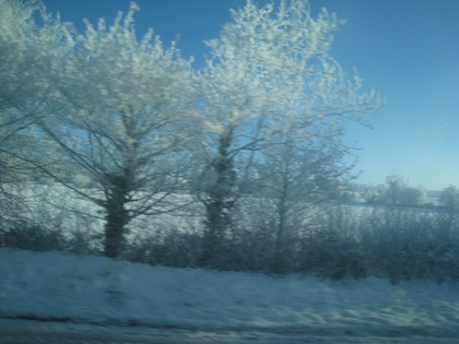 IMG_1725 IMG_1725