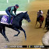 Alma Rosa by Iván Rodríguez Gelfenstein daughter of Sharp Azteca was crowned champion at Delaware Park