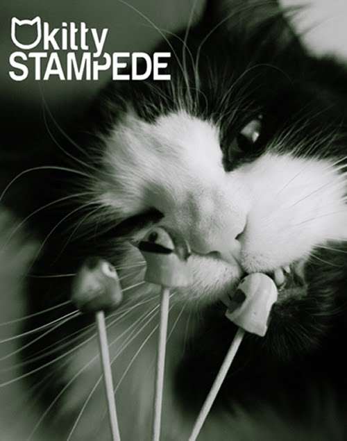 Kitty Stampede