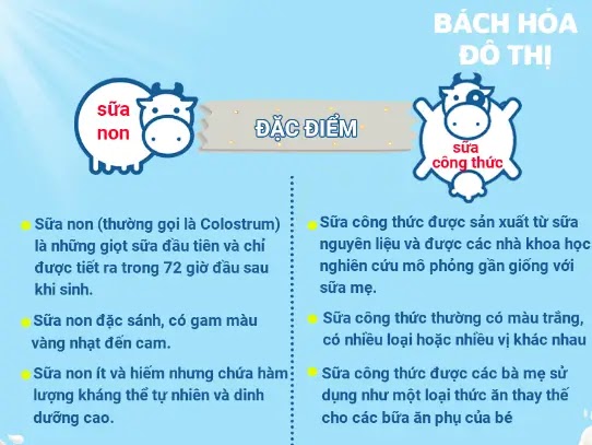 so sánh sữa non và sữa thường