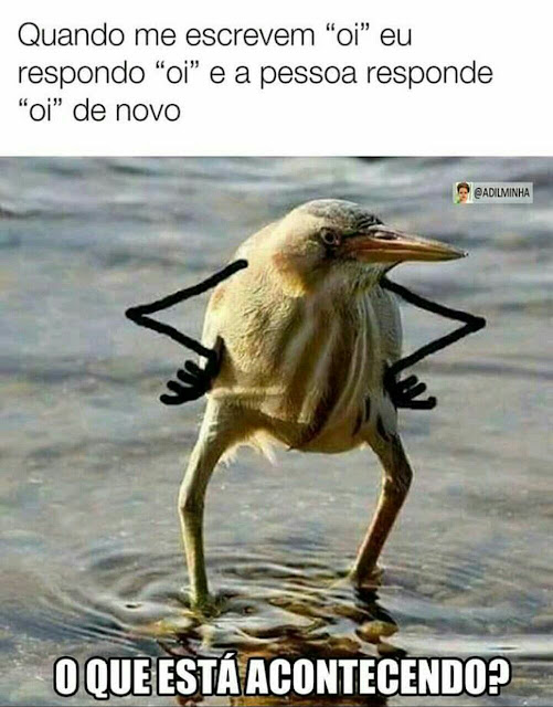 Memes engraçados