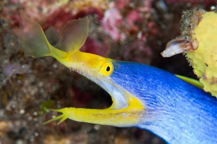 Hot Fresh Pics: Beautiful Sea Creatures