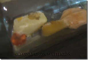 mould terrarium mould terrarium