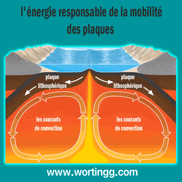 l'origine de l'énergie responsable de la mobilité des plaques