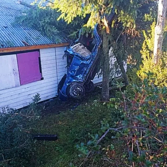 Camioneta choca contra árbol y local