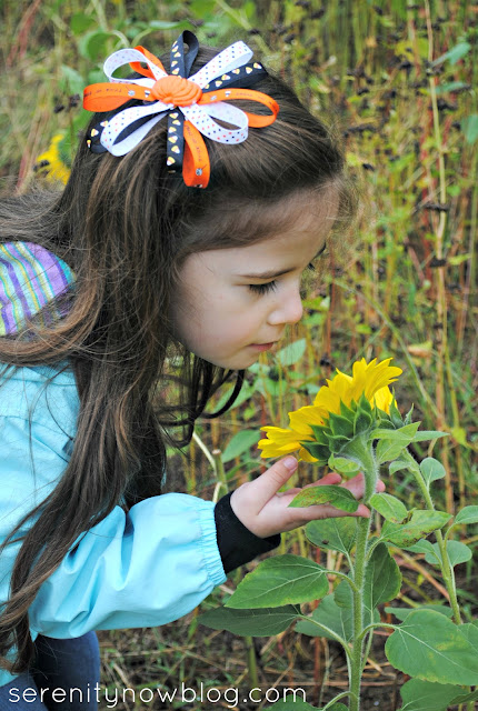 Fall Pumpkin Patch Pictures, Serenity Now blog