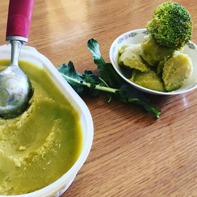 broccoli sorbet, vegan sorbet, green sorbet, broccoli ice cream