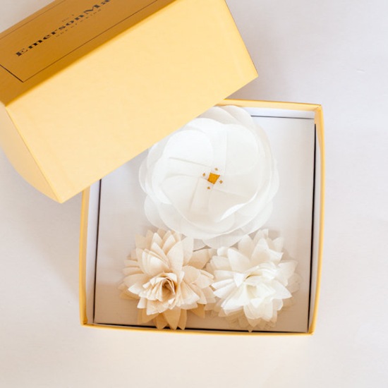 packaging