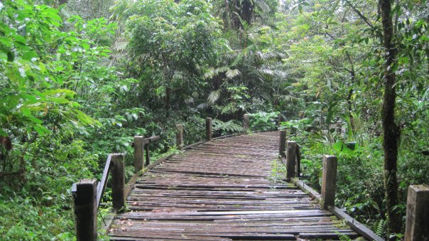 bridge at cibeureum