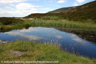 CCAR Adventure Race at Slieve Gullion