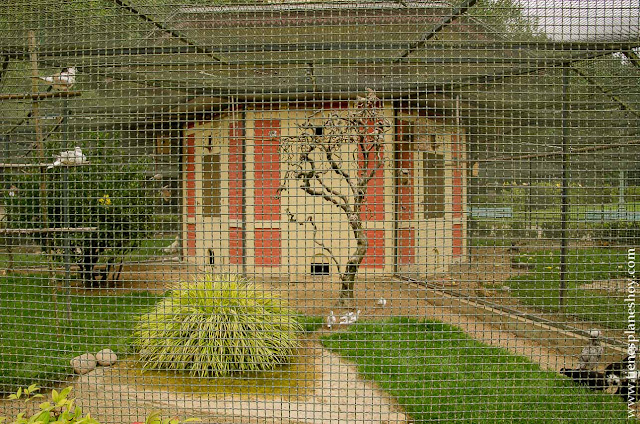 Parque Thabor aviario Rennes Bretaña viaje turismo 