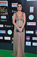 Lerisa Bonisa Golden Beauty Deep Neck Gown at IIFA Utsavam Awards 2017  Day 2 at  24.JPG