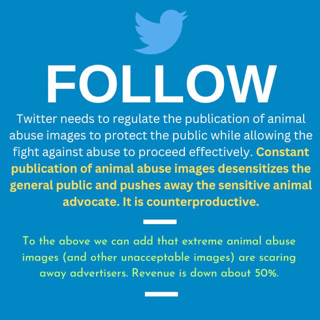 Twitter allows adverts alongside pictures of animal cruelty and injuries whereas Google does not