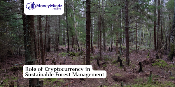 Role of Cryptocurrency in Sustainable Forest Management