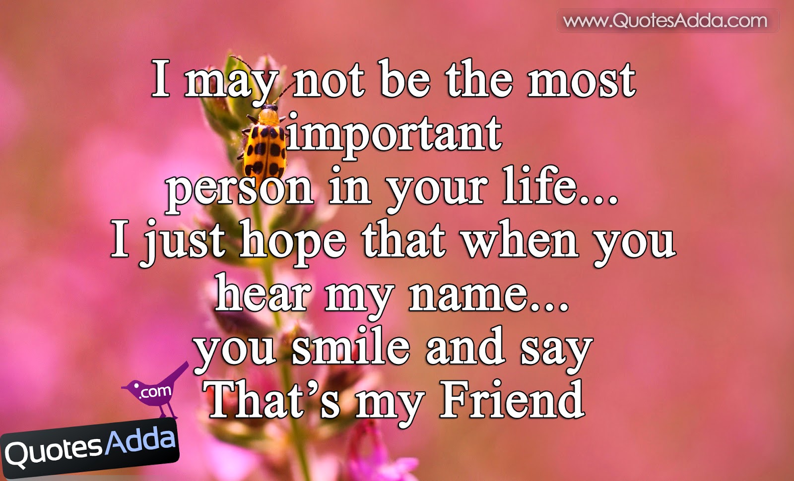 Emotional Friendship Quotes In Kannada Best friendship quotations in english quotesadda