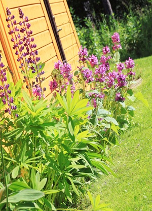 solskinnsdag4