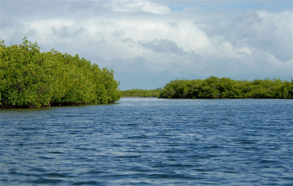 Saloum Delta National Park