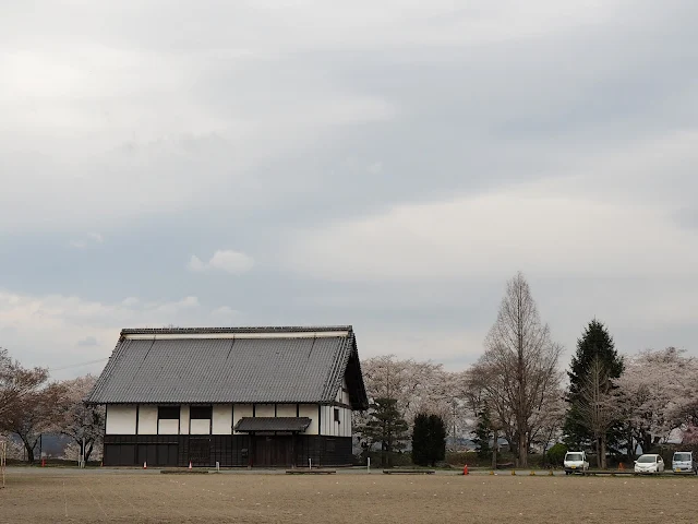 龍岡城五稜郭　お台所　桜