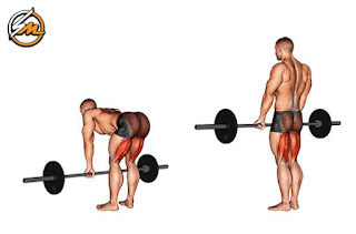 6 Best Leg Exercises for Building Muscle