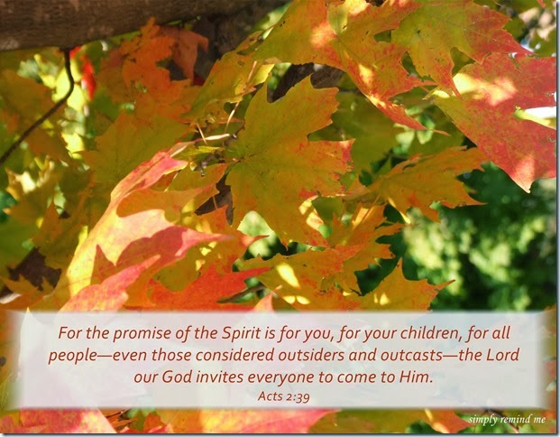 acts239
