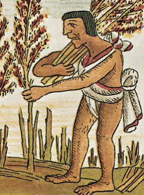 Amaranto Huautli época prehispánica