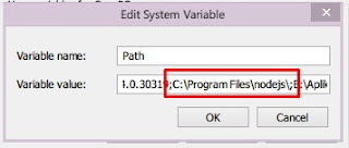 System Variables nodejs