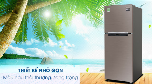 Tủ lạnh Samsung Inverter 208 lít RT20HAR8DDX/SV 