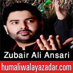 http://www.humaliwalayazadar.com/2016/06/zubair-ali-ansari-nohay-2011-to-2017.html