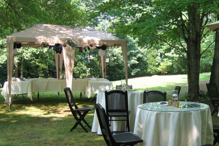 This simple gazebo was an inexpensive find at Big Lots for under 50