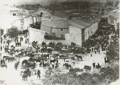 Resultado de imagen de Fotos antigua ferias de caballerías