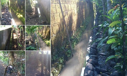 View album