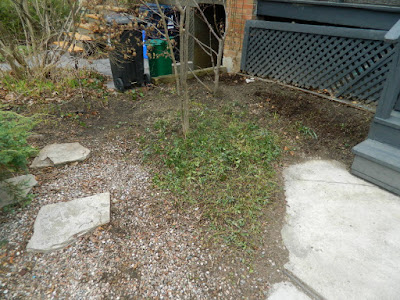 Toronto Parkdale front garden spring cleanup after by Paul Jung Gardening Services