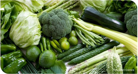 sayur hijau dapat menurunkan gula darah