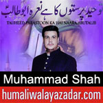 https://www.humaliwalayazadar.com/2020/03/muhammad-shah-manqabat-2020.html