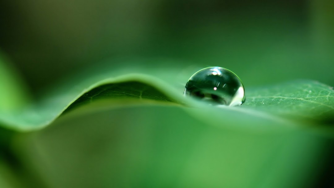 Water Drops HD Wallpaper 4