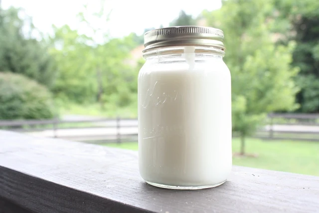 6 Manfaat Susu Kefir Bagi Kesehatan Tubuh