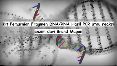 Kit Pemurnian Fragmen DNA/RNA Hasil PCR atau reaksi enzim dari Brand Magen