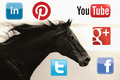 Social Media For Horse Business